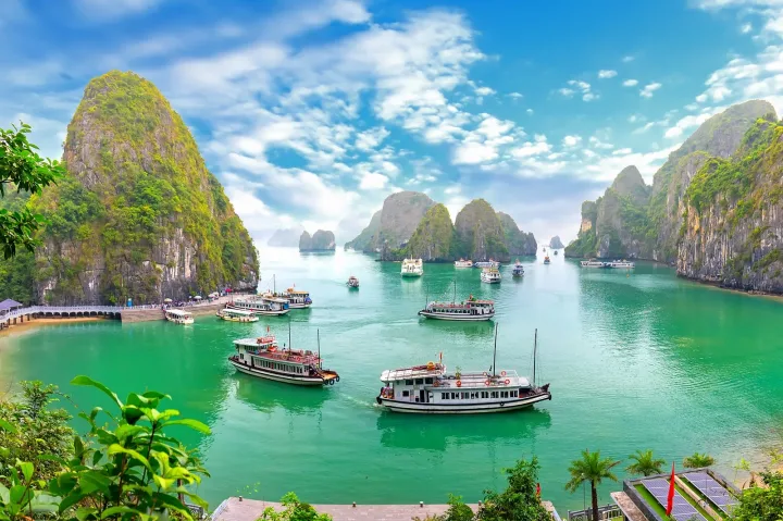 VỊNH HL