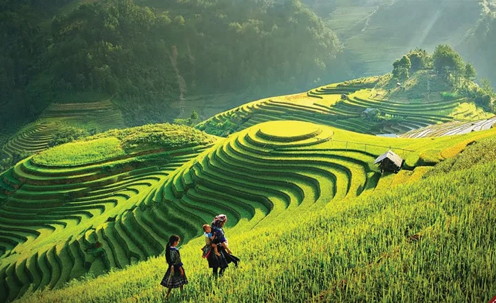 Image.daidoanket.vn Images Upload Linhdh 09172022 Anh Chinhh 11
