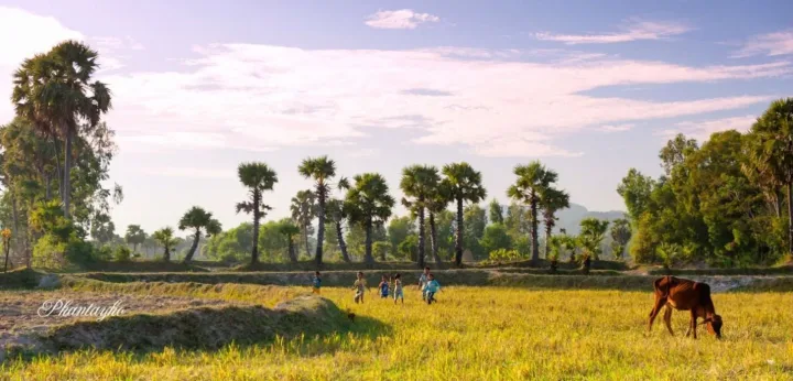 Khun Cảnh Yên Bình Miền Tây