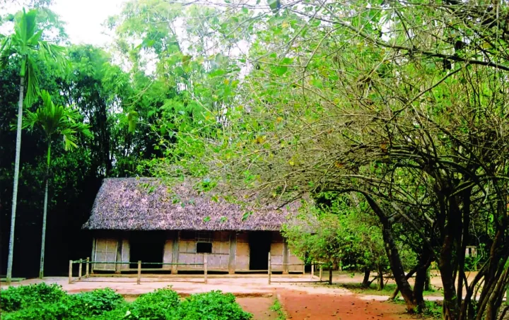 Làng Sen Quê Bác 3